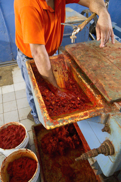 A Tour of Mérida's Markets 36 Markets%20Merida%2035Merida%20Market%2020131206%20for91days.com