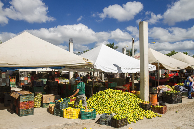 A Tour of Mérida's Markets 48 Markets%20Merida%2047Merida%20Market%2020131205%20for91days.com