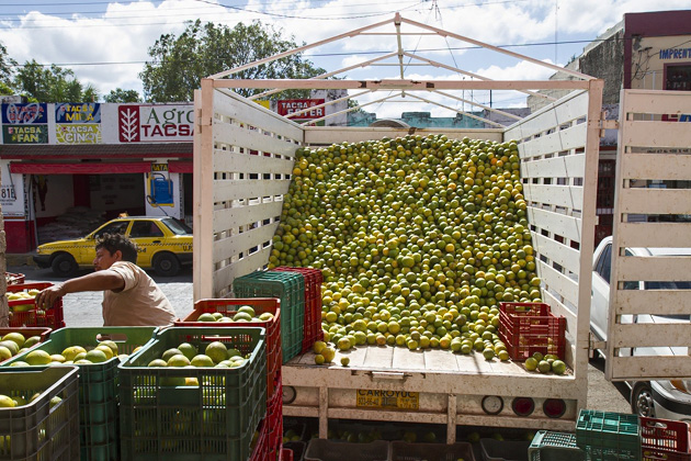 A Tour of Mérida's Markets 51 Markets%20Merida%2050Merida%20Market%2020131205%20for91days.com