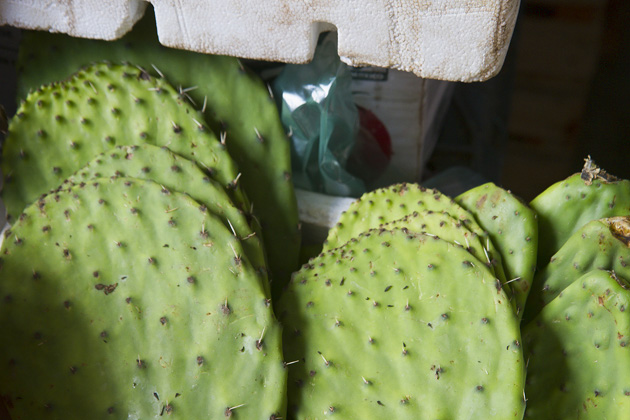 A Tour of Mérida's Markets 57 Markets%20Merida%2057Merida%20Market%2020131206%20for91days.com