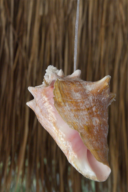 Pearl%20Farm%20Cozumel%2014Cozumel%20Pearl%20Farm%2020131124%20for91days.com