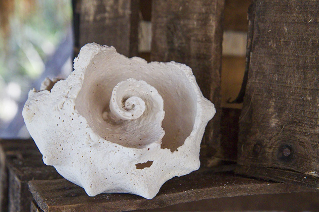 Pearl%20Farm%20Cozumel%2015Cozumel%20Pearl%20Farm%2020131124%20for91days.com
