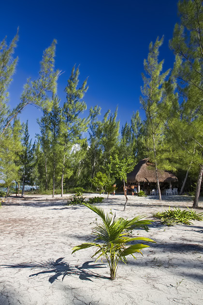 Pearl%20Farm%20Cozumel%2018Cozumel%20Pearl%20Farm%2020131124%20for91days.com
