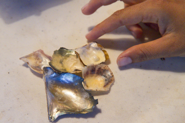 Pearl%20Farm%20Cozumel%2031Cozumel%20Pearl%20Farm%2020131124%20for91days.com