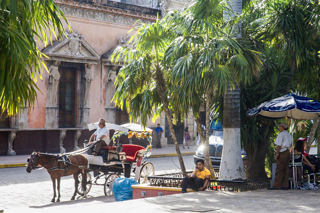 The Plaza Grande and the Casa de Montejo 5 Palacio%20Gobierno%20Merida%20 %2005%2020131113IMG 0371%20%20for91days.com
