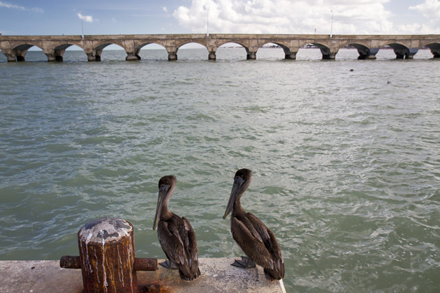 31%20Progreso%20Yucatan%20Progreso%20Yucatan%2020131227%20for91days.com