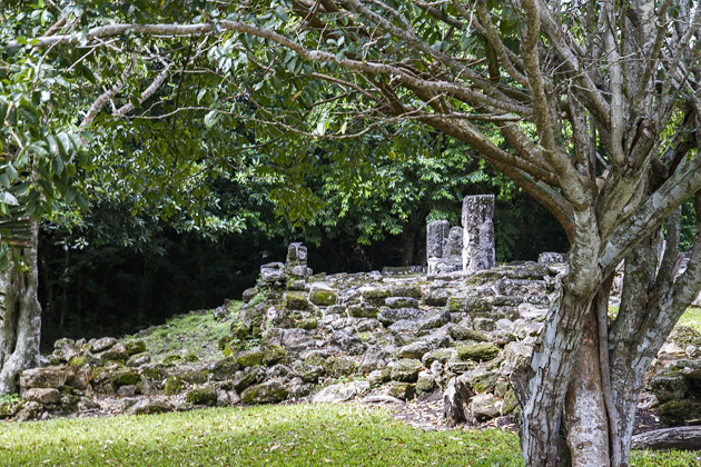 San Gervasio - Cozumel's Maya Ruins 10 San%20Gervasio%20Cozumel%2010San%20Gervasio%20Maya%20Ruins%20Cozumel%2020131125%20for91days.com