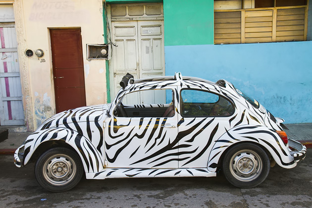 The Volkswagen Beetles Of Cozumel 5 VW%20Beetles%20Cozumel%2005VW%20Beetles%20Cozumel%2020131123%20for91days.com