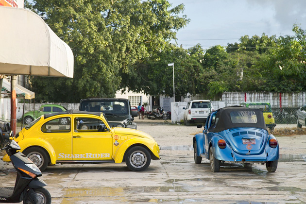 The Volkswagen Beetles Of Cozumel 9 VW%20Beetles%20Cozumel%2009VW%20Beetles%20Cozumel%2020131126%20for91days.com