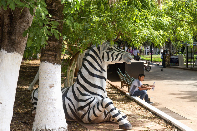 The Parque Centenario & Mérida's Zoo 3 Zoo%20Merida%2003%2020131110%20for91days.com