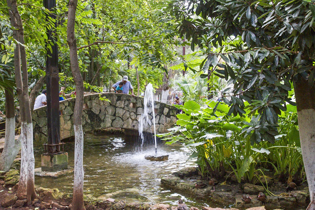 The Parque Centenario & Mérida's Zoo 12 Zoo%20Merida%2013%2020131110%20for91days.com