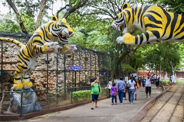 The Parque Centenario & Mérida's Zoo 15 Zoo%20Merida%2016%2020131110%20for91days.com