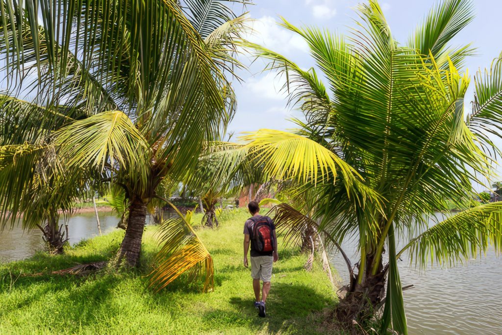 Cồn Sơn Vietnam