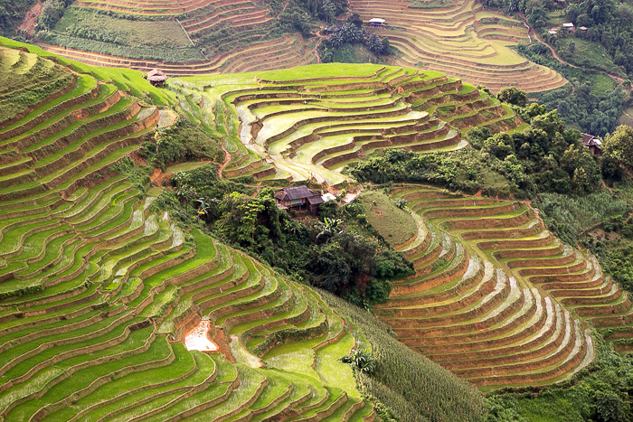Đồng Văn
