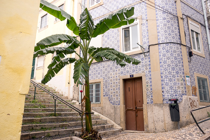 29 Mouraria DSC03977
