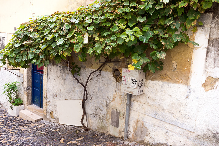 38 Mouraria DSC04057