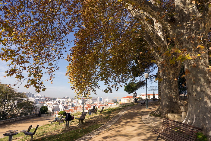 Jardim do Torel