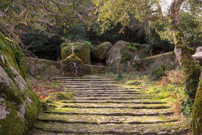 03 Convento dos Capuchos Sintra DSC06429