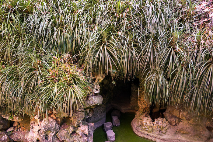 29 Quinta da Regaleira Sintra DSC06756