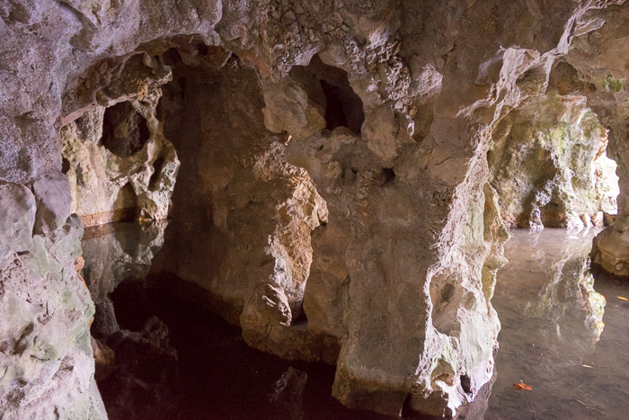 35 Quinta da Regaleira Sintra DSC06787