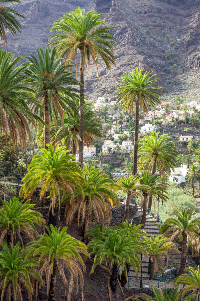 Valle Gran Rey