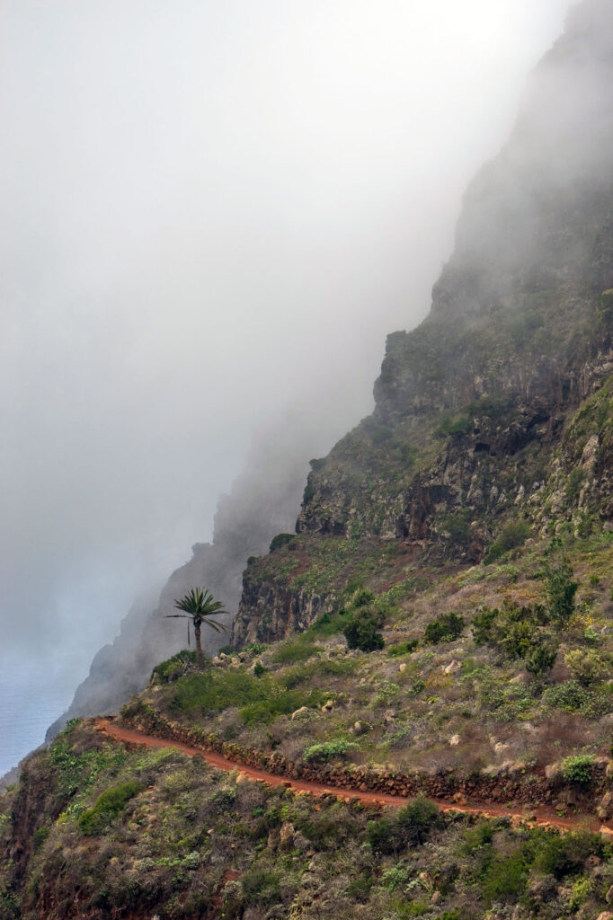 Agulo Hike La Gomera
