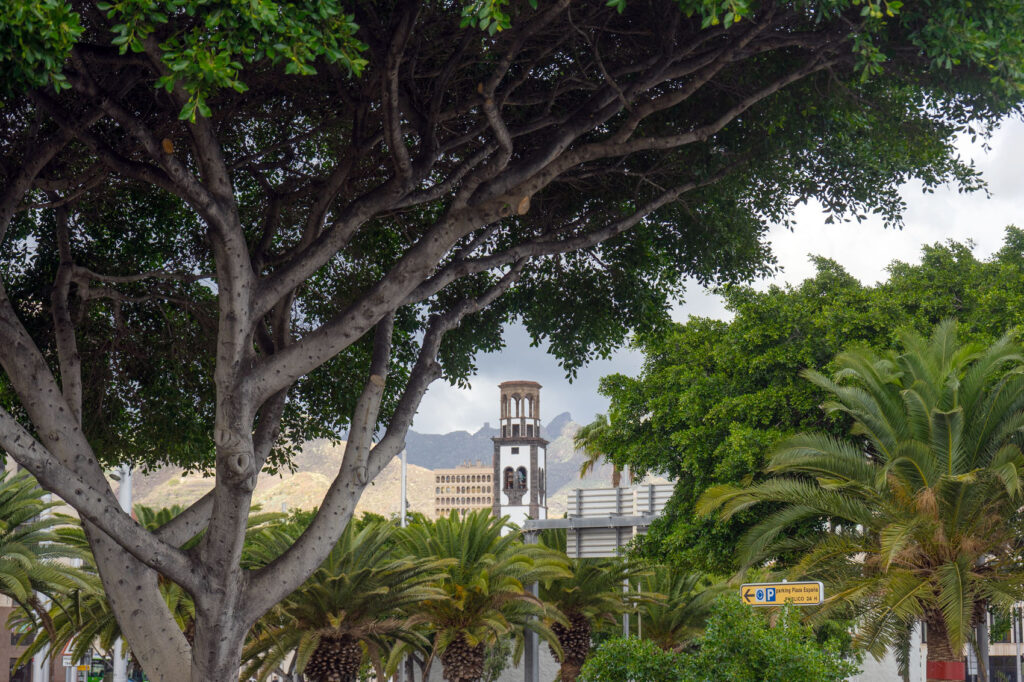 Santa Cruz Tenerife