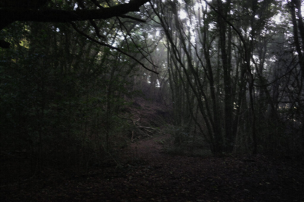 Anaga Hexen