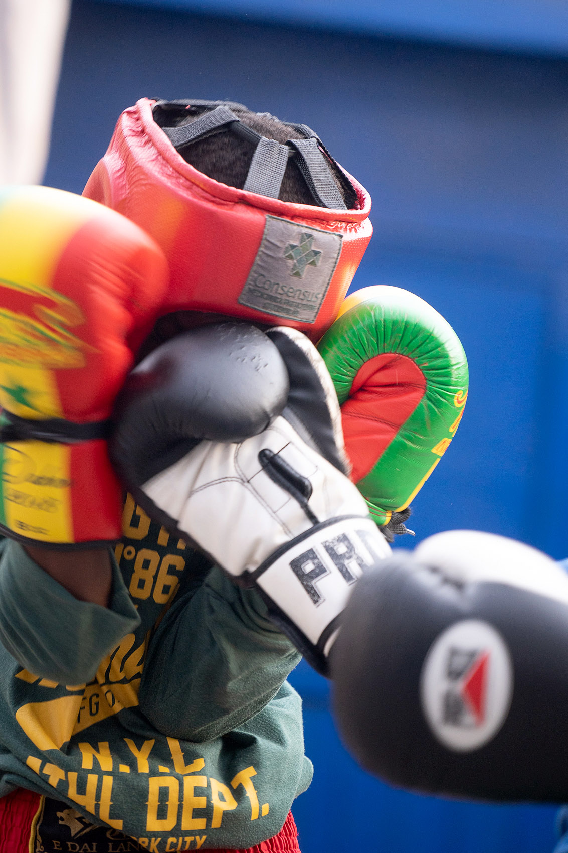 The Black Panter Boxing Gym 1 Black Panter Boxing Gym