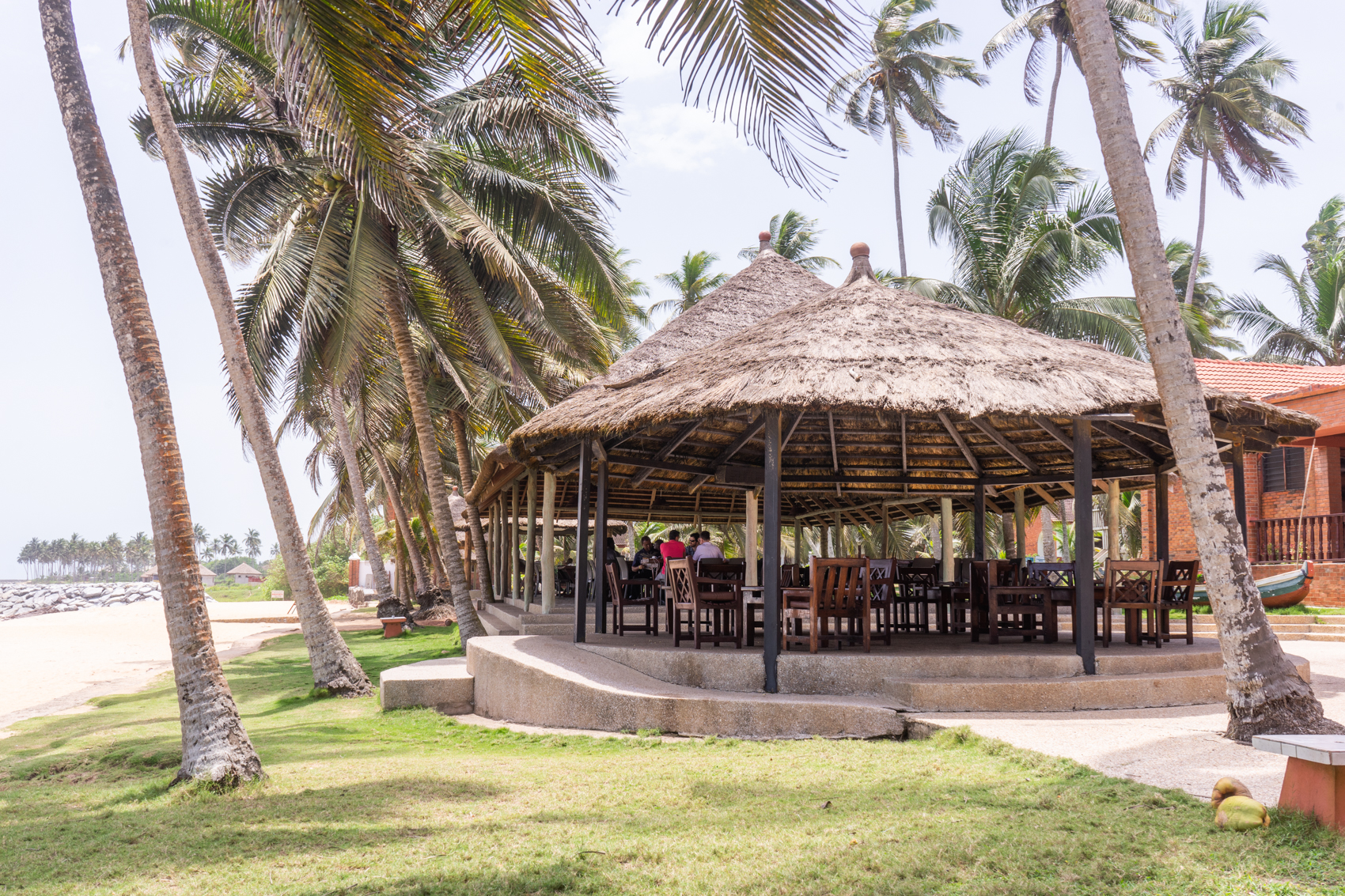 Coconut Grove Elmina