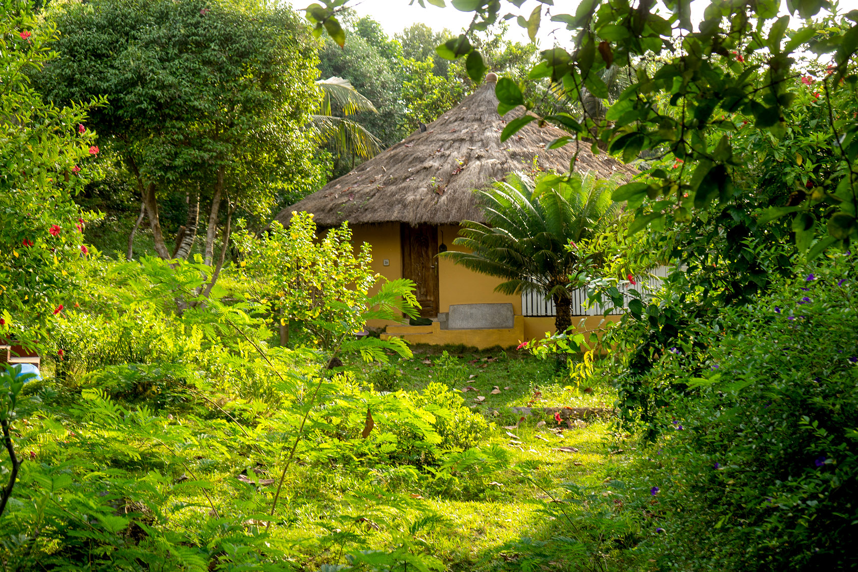 The Ankobra Beach Resort 2 Ankobra Beach Resort Huts