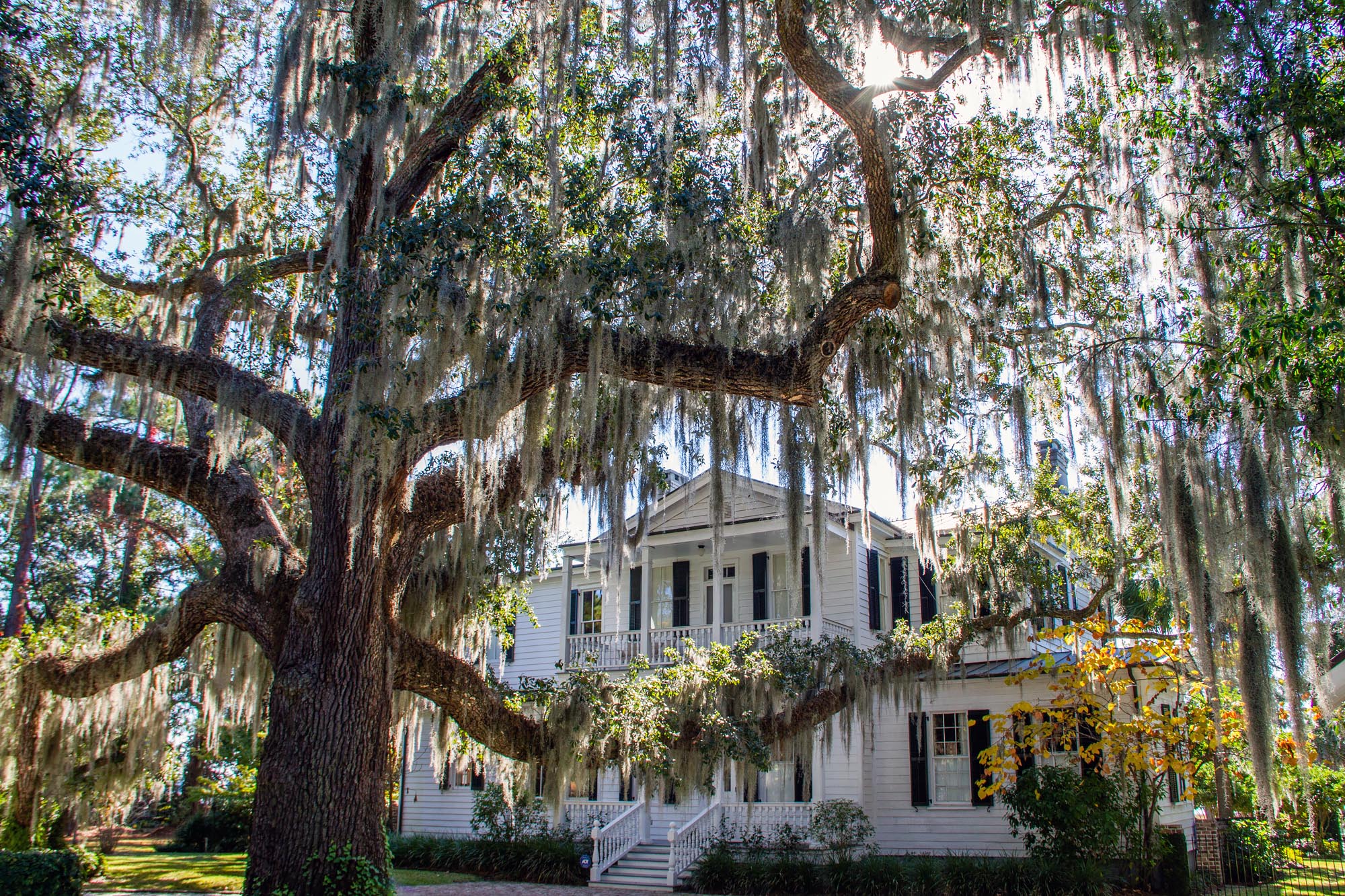 Day Trip to Beaufort 2 Beaufort South Carolina mansion