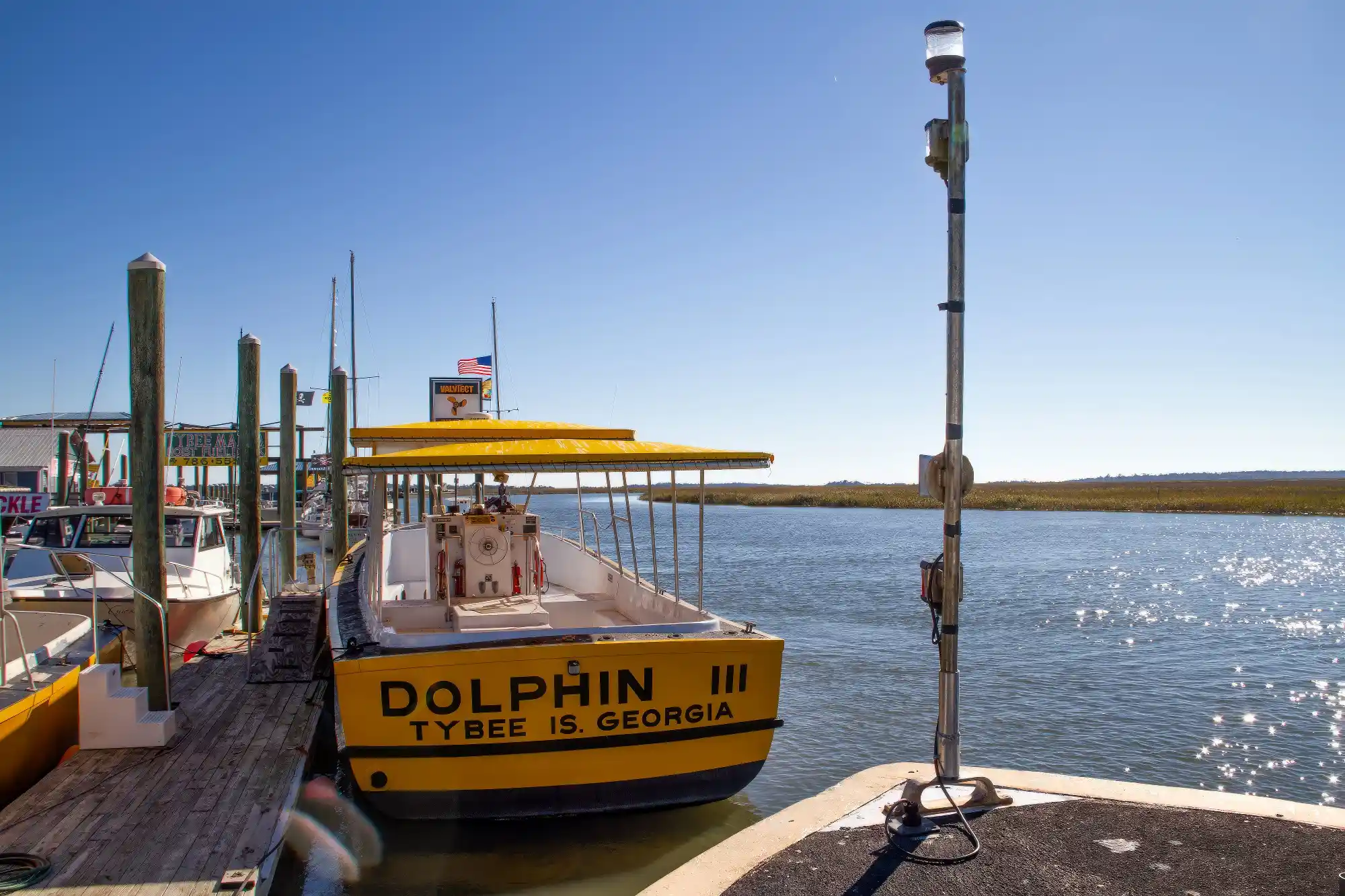 Captain Mike's Dolphin Adventure 3 Tybee dolphin tour