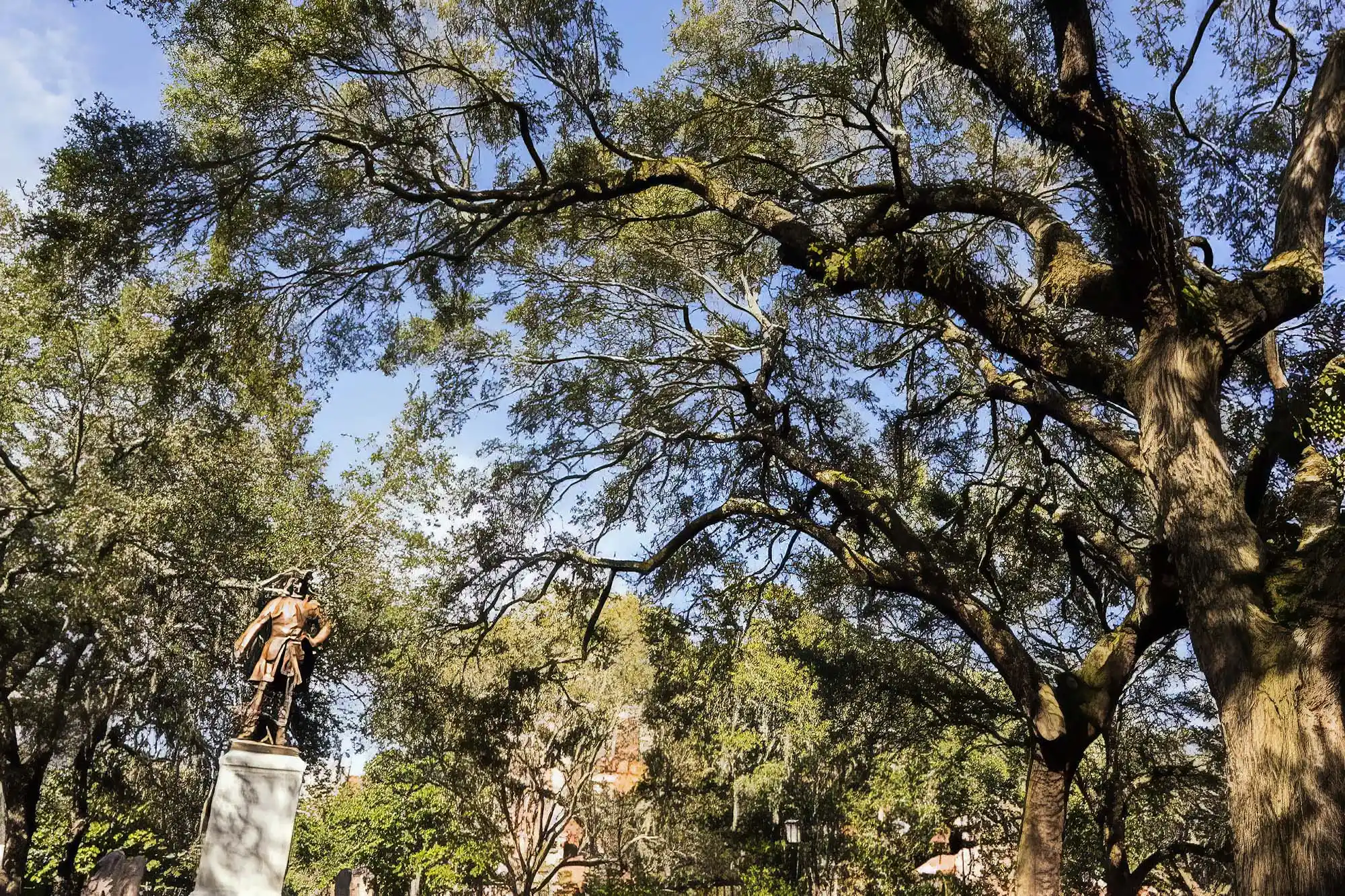 Chippewa Square 2 Chippewa Square in Savannah with trees