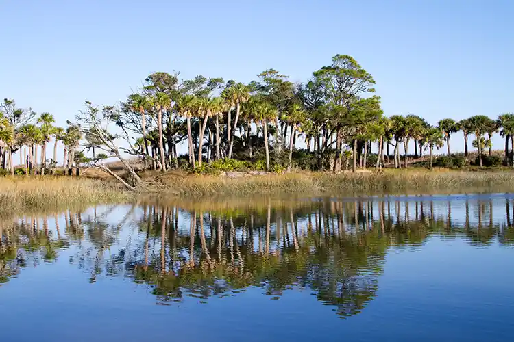 Hunting Island FAQs