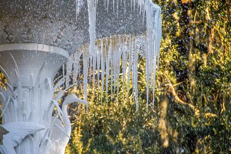 Savannah Icy Winter Dream 3 Winter fun time