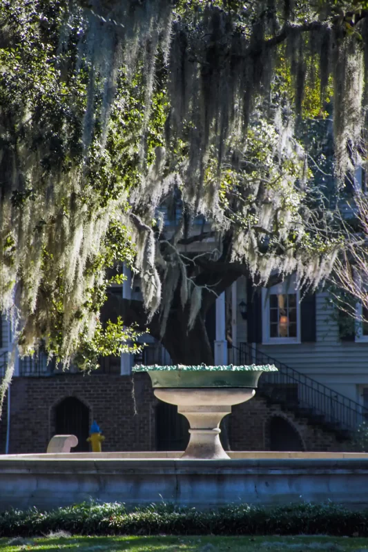 Orleans Square 3 Fountain with Spanish Moss at the Orleans Square in Savannah