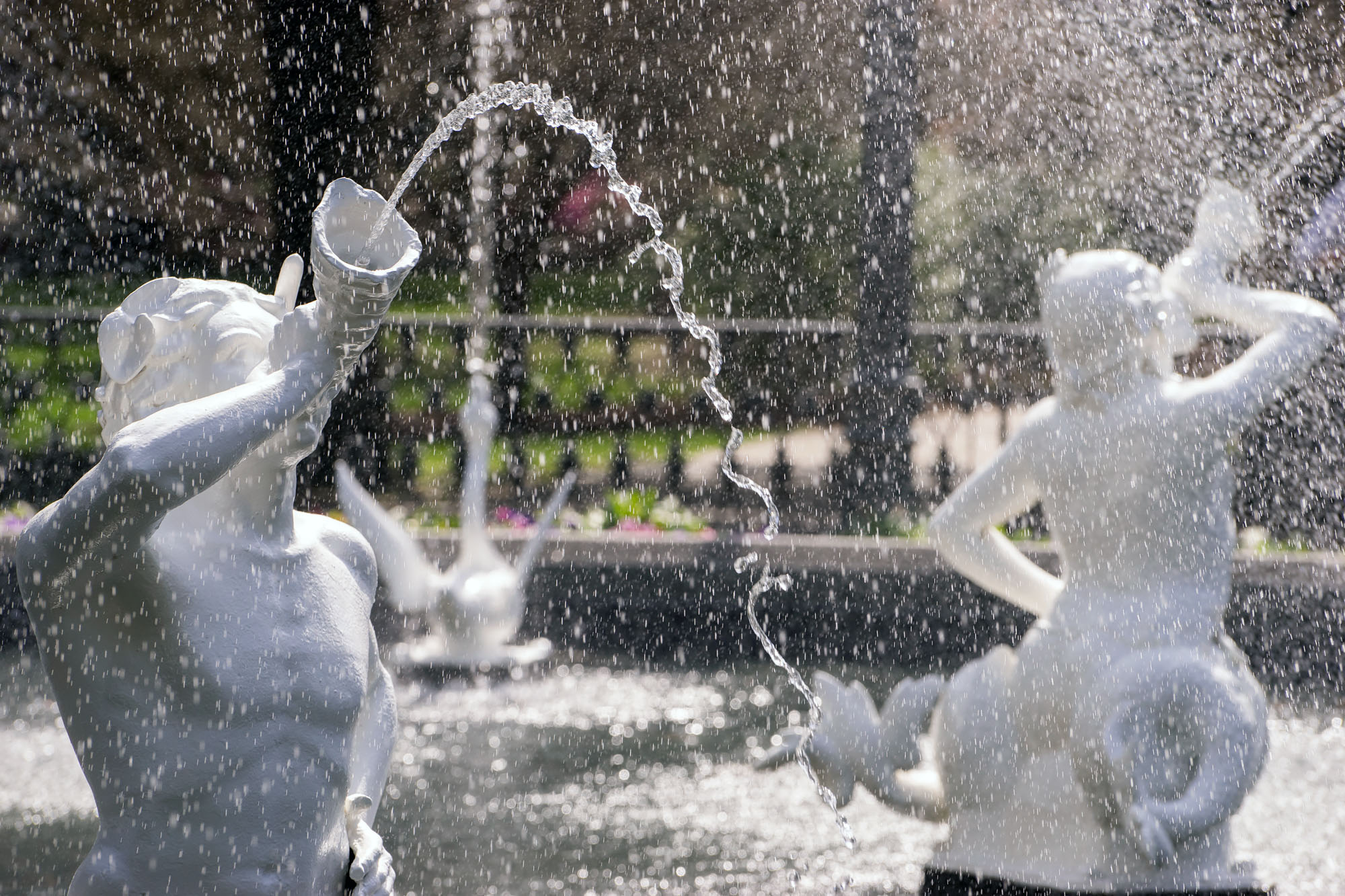 Forsyth Park 3 Stock Photo Forsyth Fountain Savannah