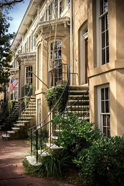 Savannah Stock Photos