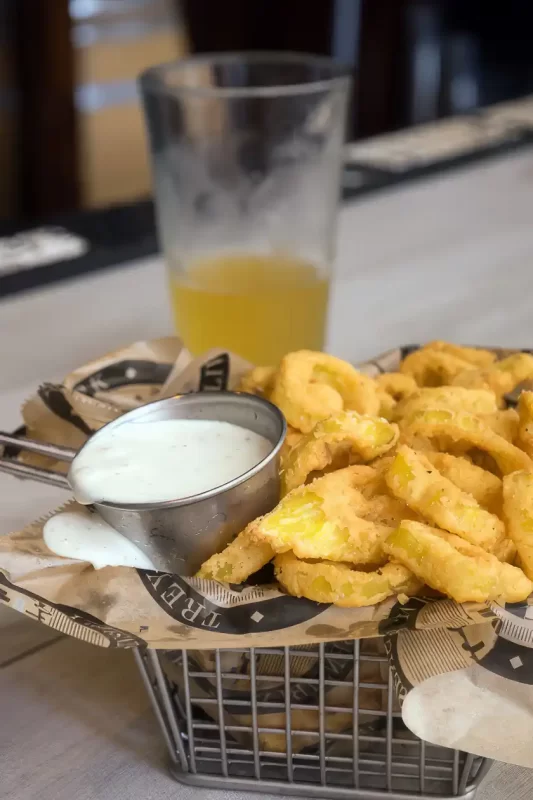 Savannah Treylor Park Fried Pickels