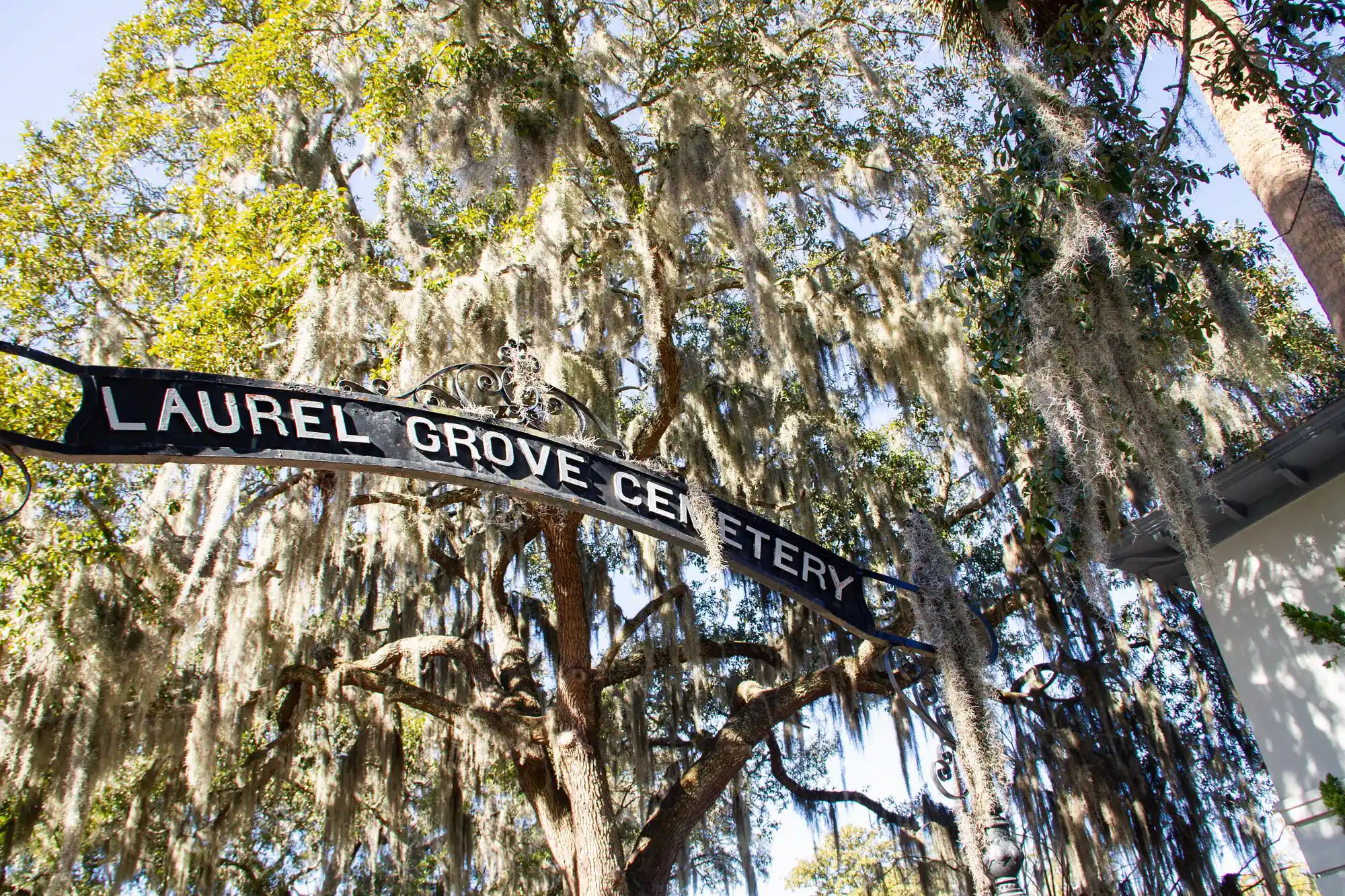 Laurel Grove Cemeter(ies) 2 Laurel Grove Cemetery in Savannah with Spanish Moss