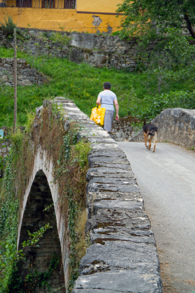 Shepard Dog Asturias Stone Bridge Woman