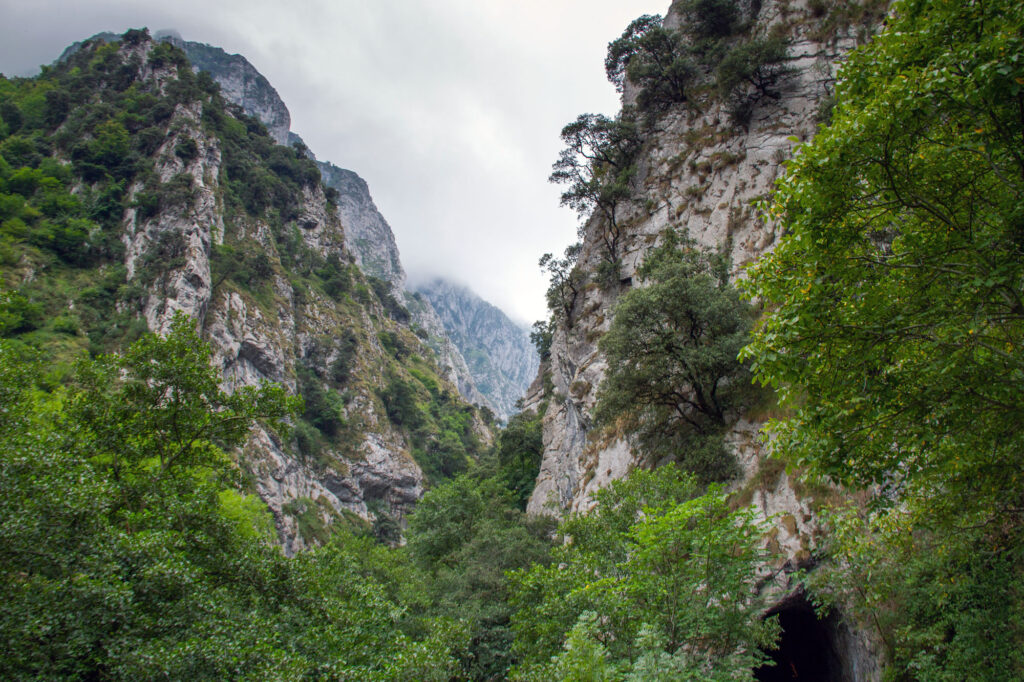 Hiking in Spain Asturias Mountain