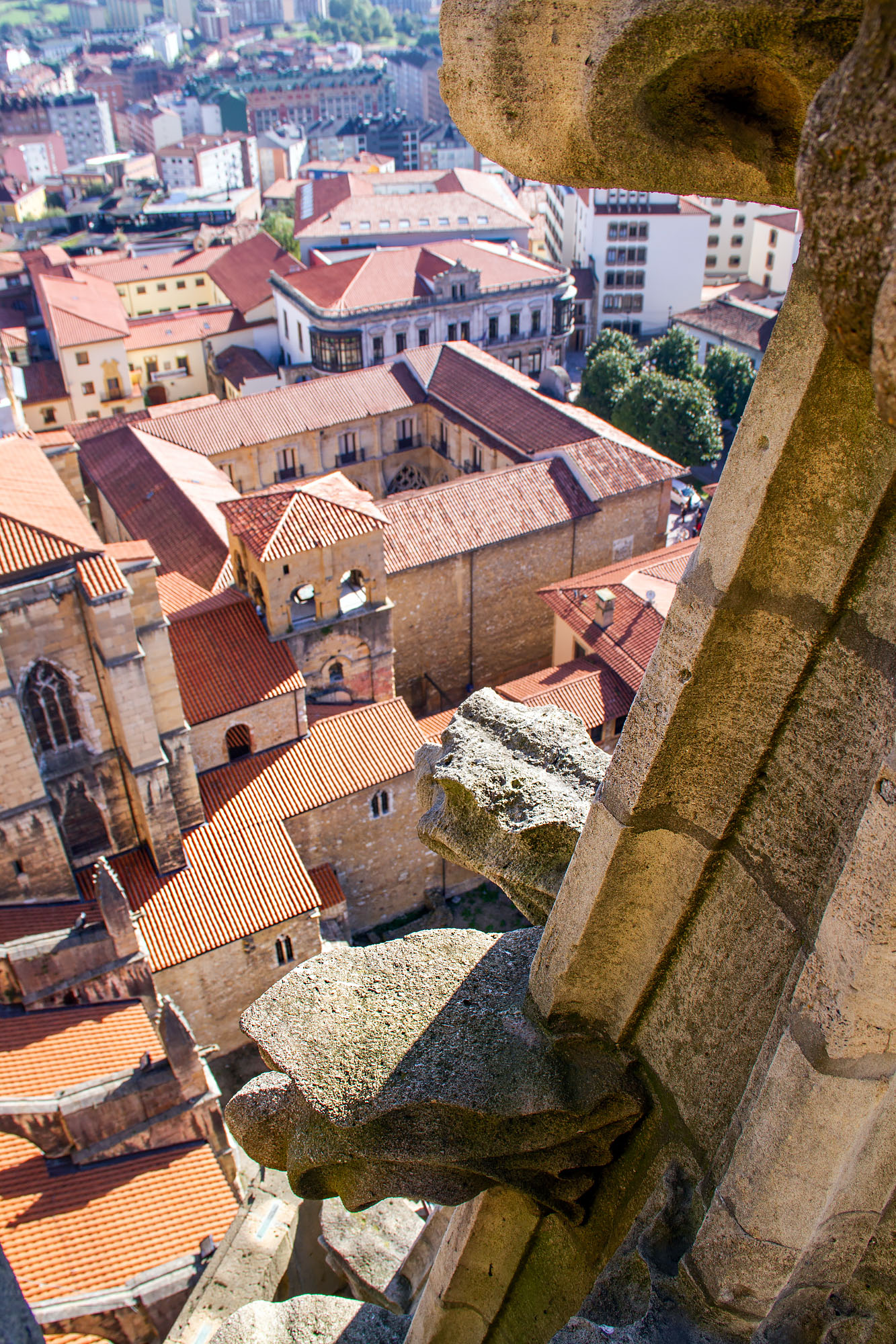 Oviedo Cathedral Bell Tower Views