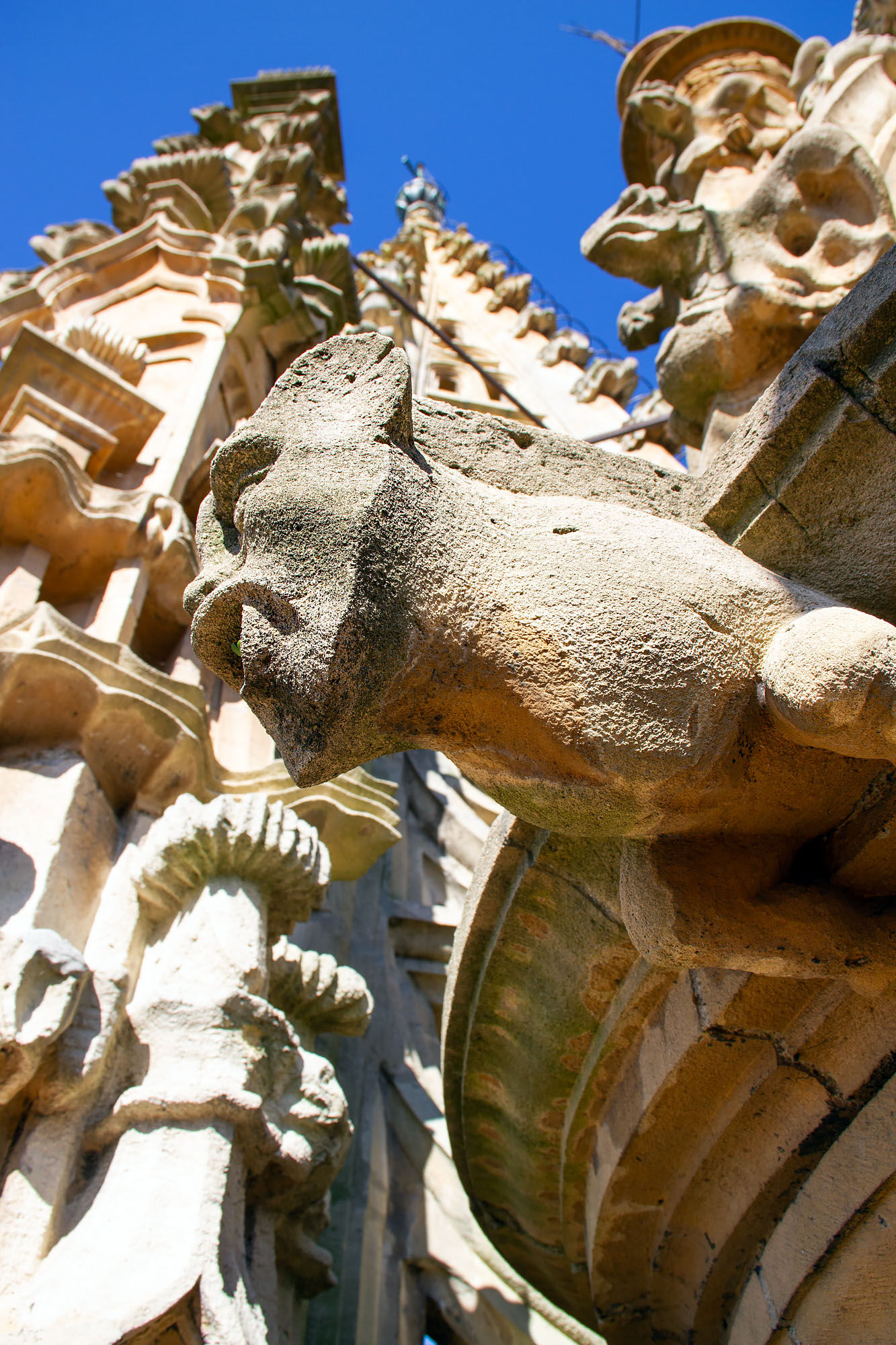 Oviedo Gargoyles Cahtedral