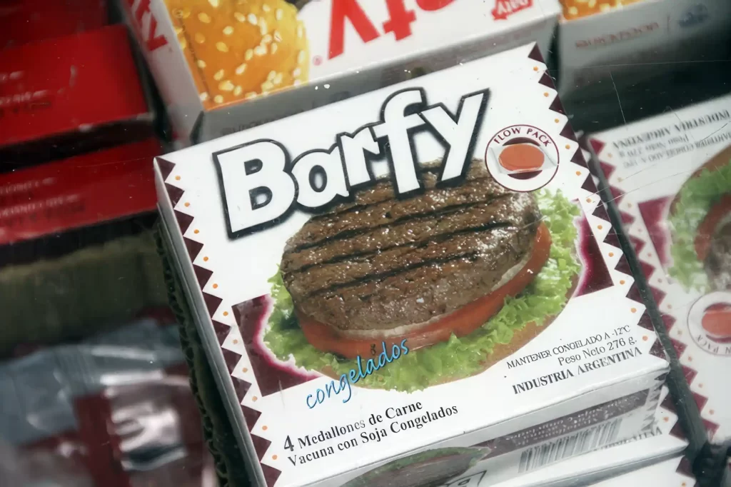 The Barfy Burger and Other Random Pictures 1 Barfy Buger