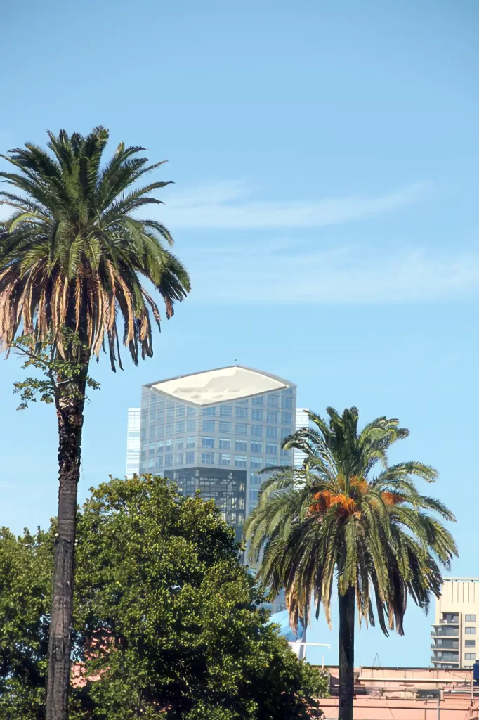 Buenos Aires looks like Miama